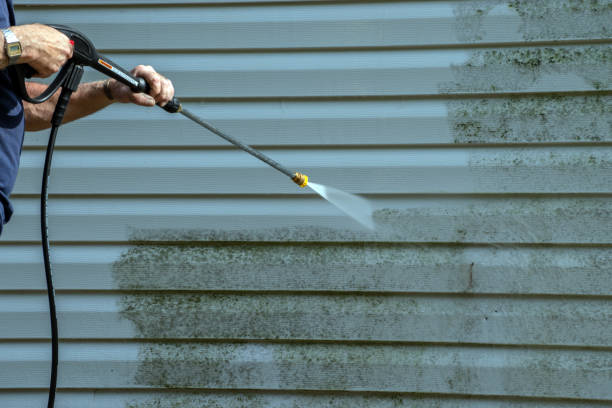 Best Patio and Deck Pressure Washing  in Lesslie, SC